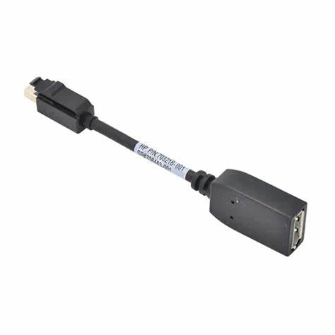 HP Adapter Cable Mini DisplayPort (macho) → DisplayPort (hembra)